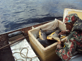 Pescadores profissionais são autuados pela Polícia Ambiental por pesca irregular