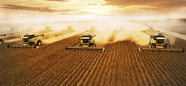 Projeto pretende desobrigar a exigência da CNH para motoristas