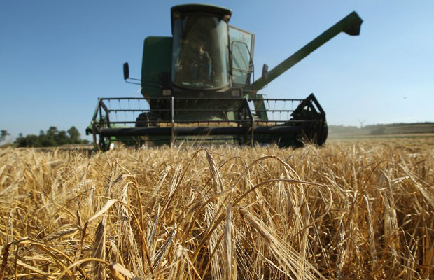 Plano Nacional de Defesa Agropecuária quer modernizar controle sanitário