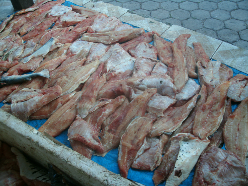 PMA prende pescador com 403 kg de pescado capturados com redes
