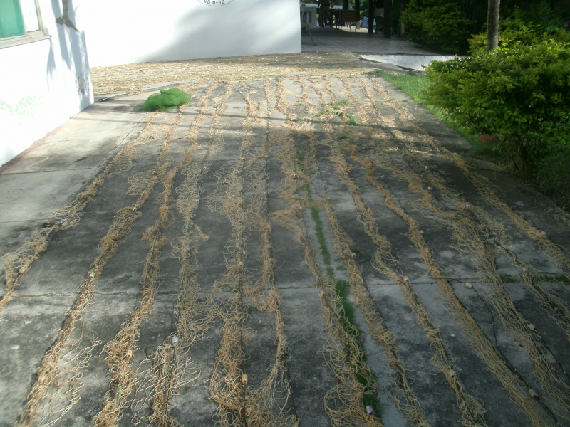PMA prende pescador com 403 kg de pescado capturados com redes