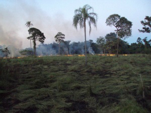 Segundo a PMA, incêndio atingiu 2 mil hectares. (Foto: Divulgação)