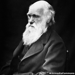 Para Darwin, a extinção de espécie é parte do processo de seleção natural