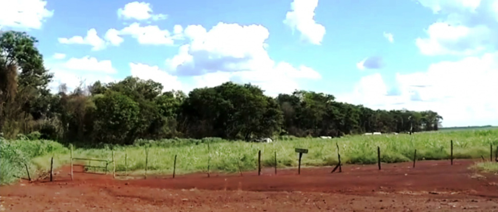 Justiça determina reintegração de posse de fazenda em Dourados Justiça determina reintegração de posse de fazenda em Dourados