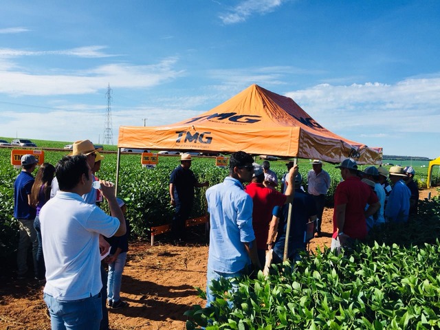 C. Vale realizou Dia de Campo em Amambai Programação aconteceu na Fazenda Imbu / Foto: Assessoria C. Vale