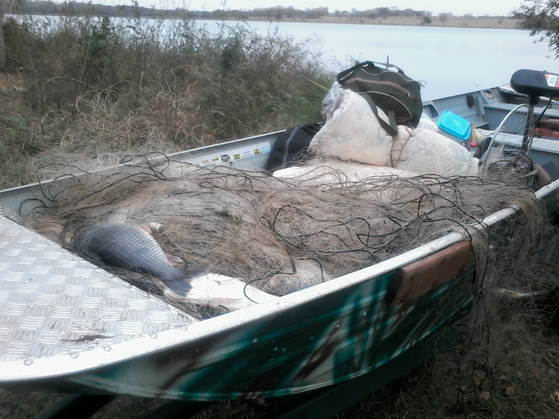 PMA apreende 35 kg de peixes e 2,5 km de redes de pesca ilegais