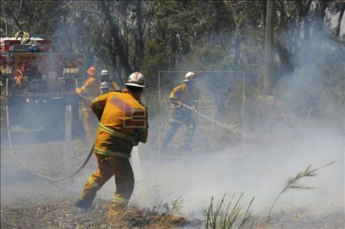 Os bombeiros trabalham para conter aproximadamente 60 focos, 20 dos quais estão fora de controle, na oitavo dia de uma onda de incêndios que já destruiu mais de 200 casas. EFE/Arquivo