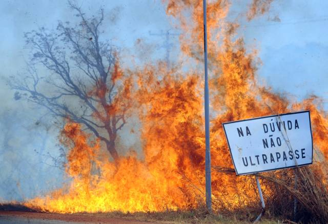 Dia do "serrado", queimado e afogado Queimada em Brasília, nas proximidades do parque nacional (foto: Agência Brasil)