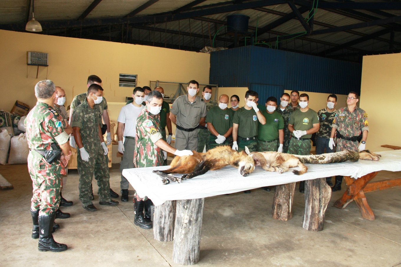 PMA realiza curso de taxidermia e Educação Ambiental para policiais