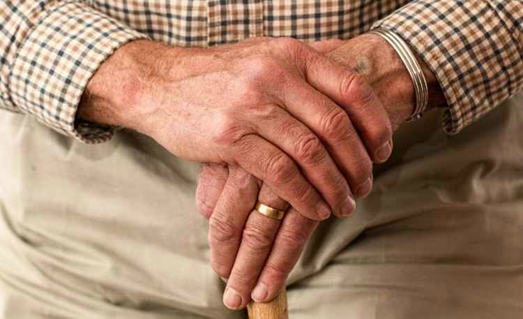 Pesquisa de brasileiro pode reduzir incidência de Alzheimer e Parkinson Pesquisa de brasileiro pode reduzir incidência de Alzheimer e Parkinson