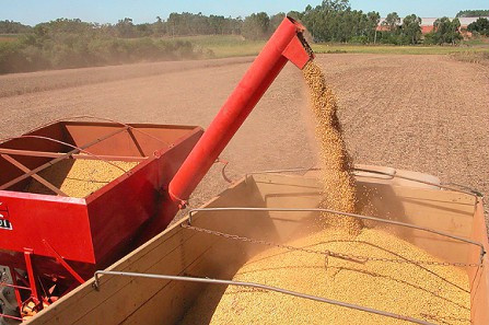Com atraso, Dourados colhe 60% da safra da soja