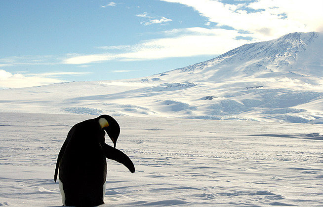 Superfície congelada na Antártica aumenta, apesar do aquecimento