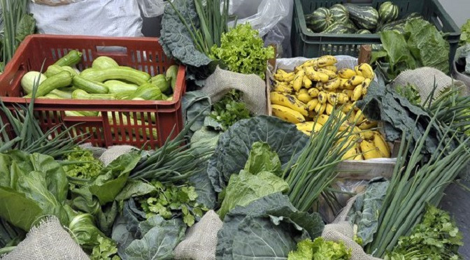 Agricultura familiar tem até o dia 8 para aderir ao programa da merenda escolar A Agraer (Agência de Desenvolvimento Agrário e Extensão Rural) está à disposição dos pequenos produtores rurais que necessitam de orientação quanto aos trâmites para inscrição no Pnae Foto: Divulgação