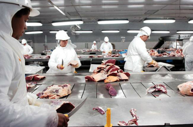 Abate de bovinos cai 1,6% em 2011, segundo IBGE