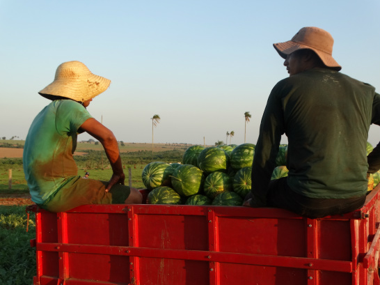 Comemoração aos 37 anos de extensão rural no MS Foto: Divulgação