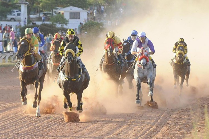 Suspeita de gripe equina ameaça eventos do turfe nacional
