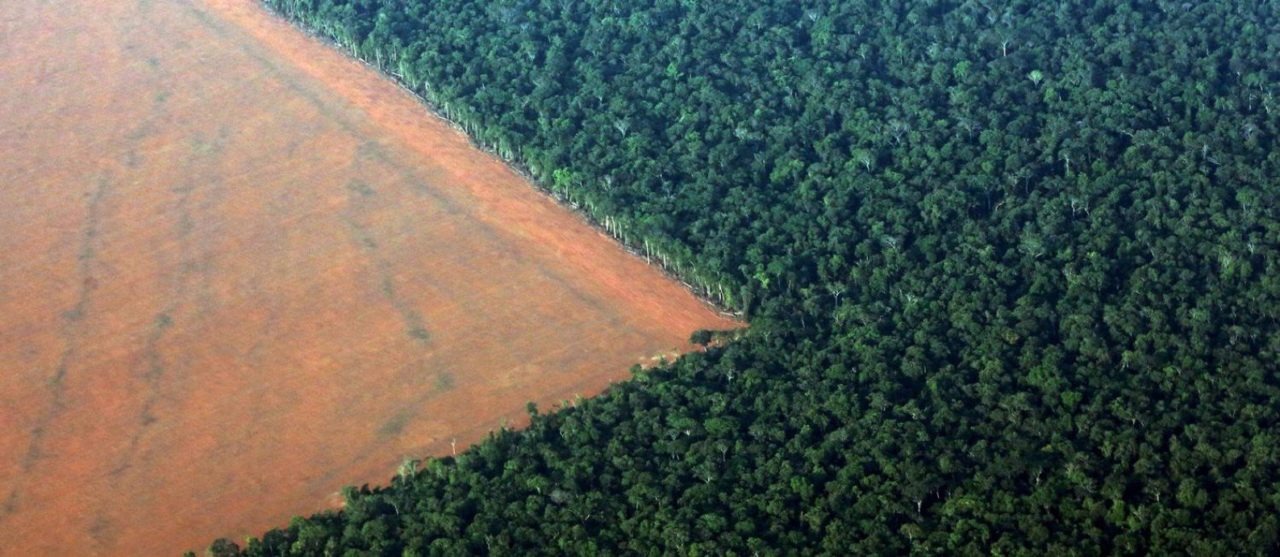 Desmatamento já reduz chuvas e pode afetar safra no sul da Amazônia Foto: Divulgação
