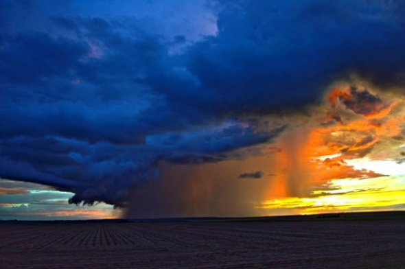 Com ajuda do clima e o manejo do agricultor, não teremos problema com pragas e doenças”, explica o presidente da Aprosoja/MS, Christiano Bortolotto / Foto: Divulgação