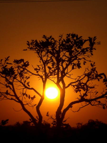 Marco exibe “A Poeira - Uma História do Pantanal” e celebra Mato Grosso do Sul Marco exibe “A Poeira - Uma História do Pantanal” e celebra Mato Grosso do Sul