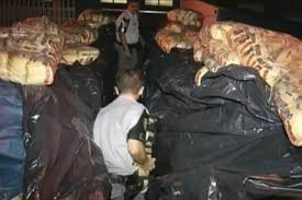 Polícia Rodoviária apreende 2 toneladas de maconha em caminhão, no Rio