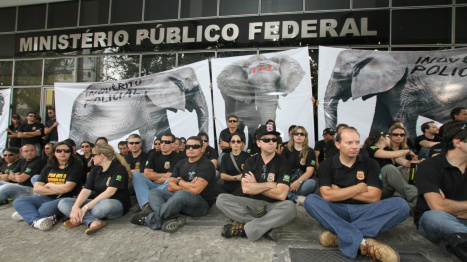 Pelo menos 30% dos policiais federais devem voltar ao trabalho, decide STJ