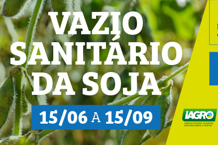 “MS no Campo” destaca início do período de vazio sanitário da soja Foto: Divulgação