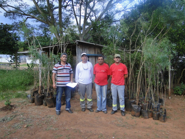 Prefeitura de Amambai recebe mudas de Convênio com a Enersul A secretaria de meio ambiente é responsável pela distribuição dessas mudas à população.