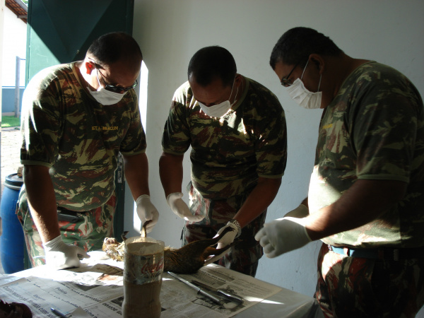 PMA realiza curso de taxidermia na Capital para Policiais Ambientais