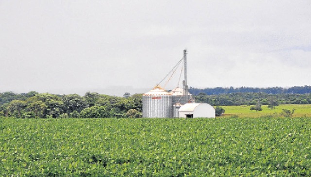 Estado se prepara para nova supersafra de soja Foto: Divulgação