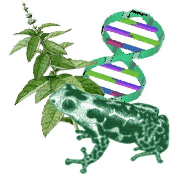Último dia de inscrições para a Olimpíada Brasileira de Biologia
