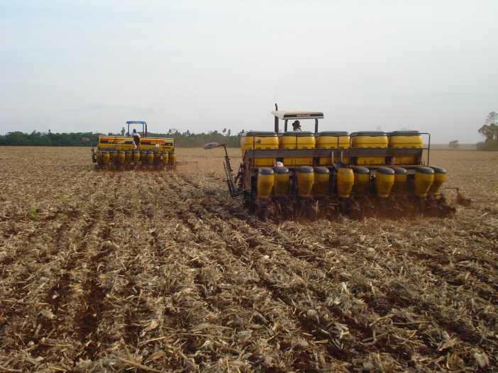Plantio de soja chega a 28% da área em Mato Grosso do Sul Plantio de soja chega a 28% da área em Mato Grosso do Sul