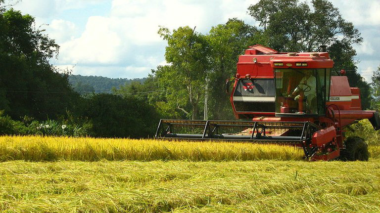 Agropecuária movimenta atividade econômica em 1.135 municípios Do total de municípios, 210 estão no Rio Grande do Sul e 144 no ParanáFoto: Divulgação
