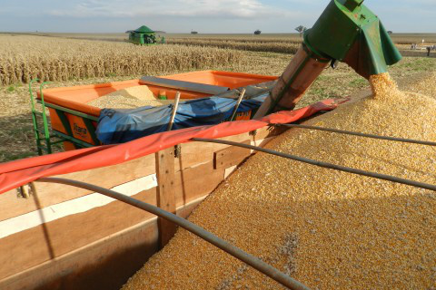 Foto: Assessoria de Imprensa Sistema Famasul