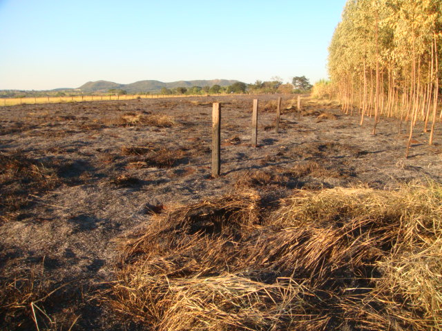 Polícia Militar Ambiental combate incêndios criminais no estado Polícia Militar Ambiental combate incêndios criminais no estado
