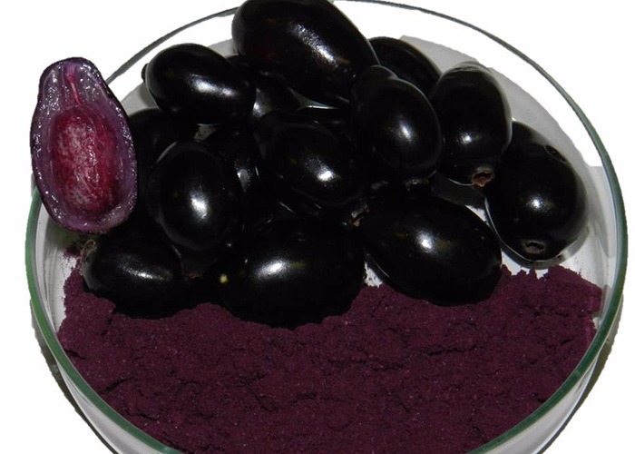 Pesquisa desenvolve corantes naturais de frutas tropicais Foto: Divulgação