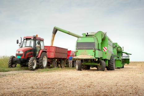 Seca prejudica desempenho da agropecuária em 2016 Seca prejudica desempenho da agropecuária em 2016
