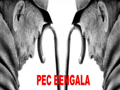 Dilma veta lei que estendia PEC da Bengala a todo o funcionalismo Dilma veta lei que estendia PEC da Bengala a todo o funcionalismo