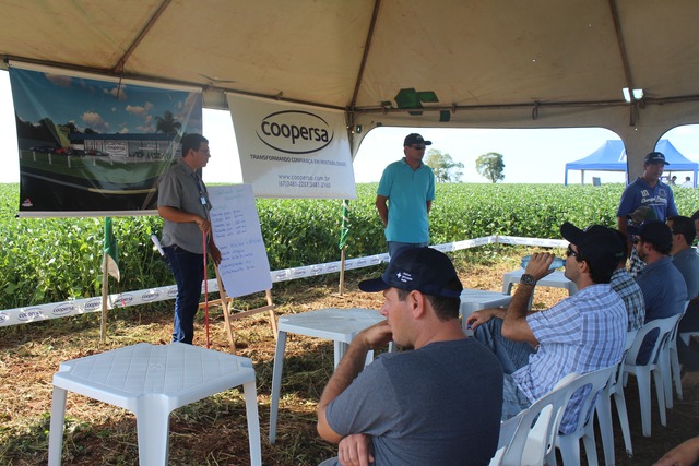 Coopersa apresenta variedades de soja no Dia de Campo em Amambai Foto: Assessoria Coopersa / Divulgação