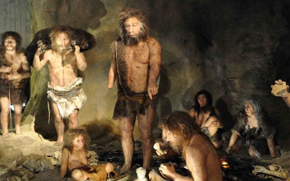 Cinco criaturas que desapareceram misteriosamente da Terra