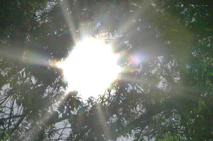 Sol predomina em boa parte das regiões de Mato Grosso do Sul