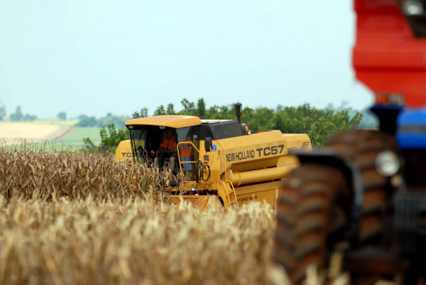 Produção de milho safrinha deve aumentar 28% em MS, diz Conab