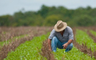 Comissão de Agricultura vai debater em audiência a ampliação do acesso ao Pronaf
