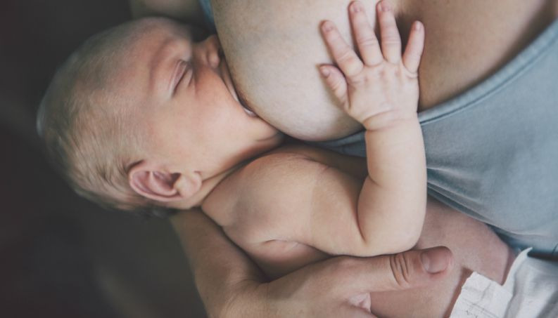 Quantidade de leite tem a ver com o tamanho do seio da mamãe? Quantidade de leite tem a ver com o tamanho do seio da mamãe?
