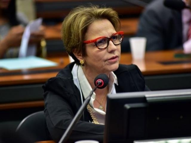 Cinco deputados de MS receberam doações de empresas autuadas pelo Ibama Tereza Cristina recebeu R$ 100 mil via doação direta de siderúrgica acusada de crime ambiental. (Foto: Zeca Ribeiro/Câmara dos Deputados)