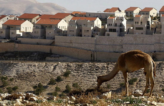 Israel pode construir 55.548 casas na Cisjordânia