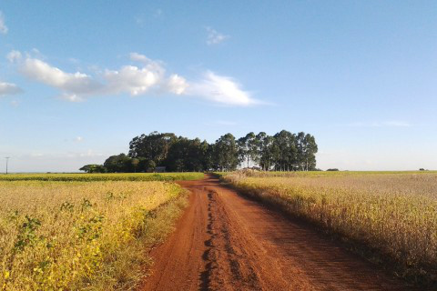 Foto: Assessoria de Imprensa Sistema Famasul