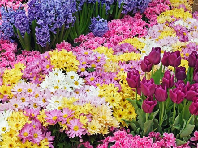 Feira de flores e artesanato inicia nessa quarta-feira (26) Feira de Flores e artesanato acontece entre os dias 26 e 30 de setembro