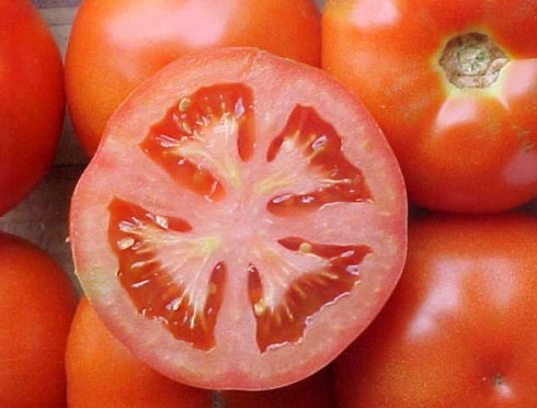 Tecnologia da Embrapa Solos permite produzir tomates sem resíduos de agrotóxicos Tecnologia da Embrapa Solos permite produzir tomates sem resíduos de agrotóxicos