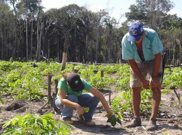 Medida Provisória propõe nova fase da reforma agrária no País Alteração na lei vai prorrogar a vigência do programa Terra LegalFoto: Divulgação