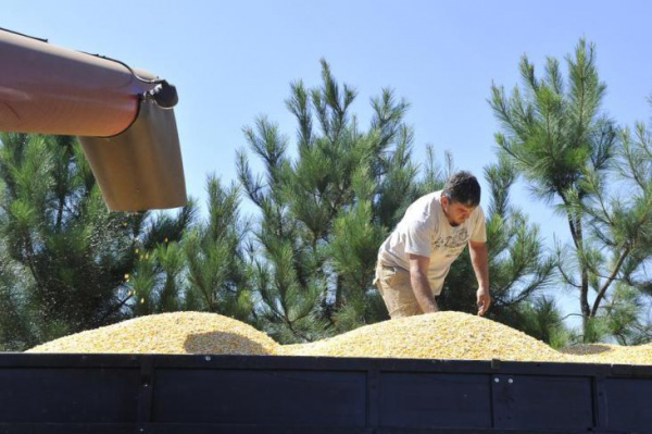 Faturamento do Setor Agropecuário deve crescer 7,9% em 2012